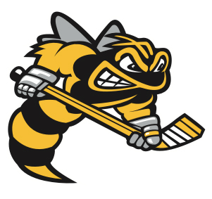 Logo for Sarnia Sting