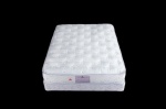 Queen Chiropractic 300 Series Set