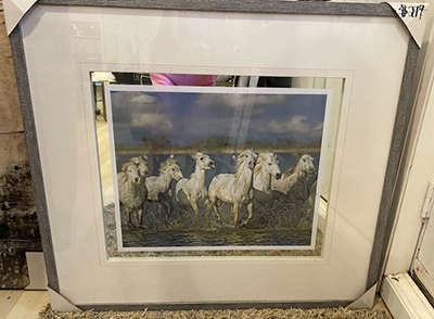 Wild Horses Framed Print